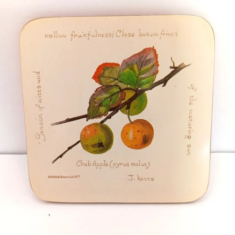 Vintage Richard Webb Coasters 1977 Cork Backed Cream with Flowers and Poems